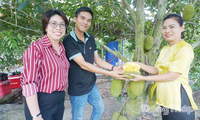 Chị Trang Thị Thanh Thủy (bìa phải) giới thiệu trái cây trong vườn cho du khách tại Khu ẩm thực - sinh thái Miền Tây.