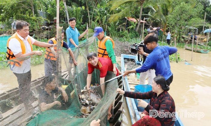 Sinh viên cùng người dân địa phương tham gia dỡ chà cá trên sông.