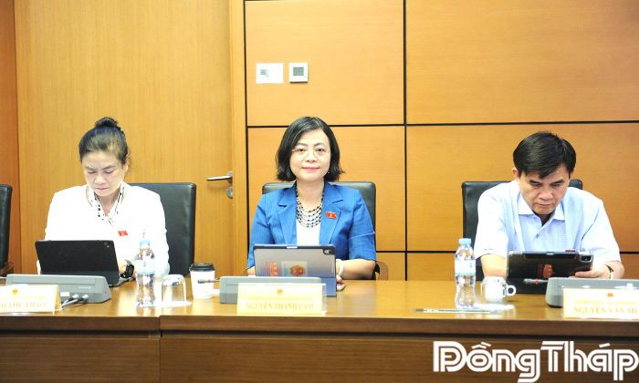 Đại biểu Quốc hội tỉnh Đồng Tháp tham gia phiên thảo luận tại tổ.