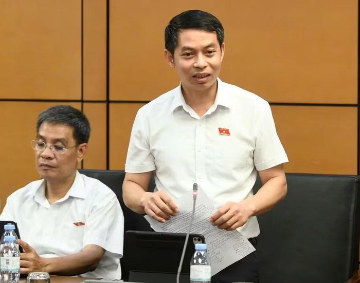  ĐB Phạm Ngọc Lâm lưu ý sự thay đổi về chính sách tiền thuê đất. Ảnh: Đoàn ĐBQH tỉnh Gia Lai 