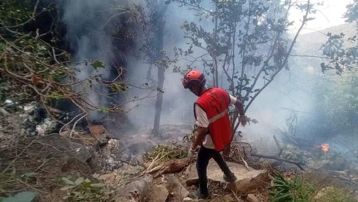 5 người Mỹ và giám đốc tình báo Ecuador thiệt mạng trong vụ rơi trực thăng tại Kenya. Ảnh: CNN