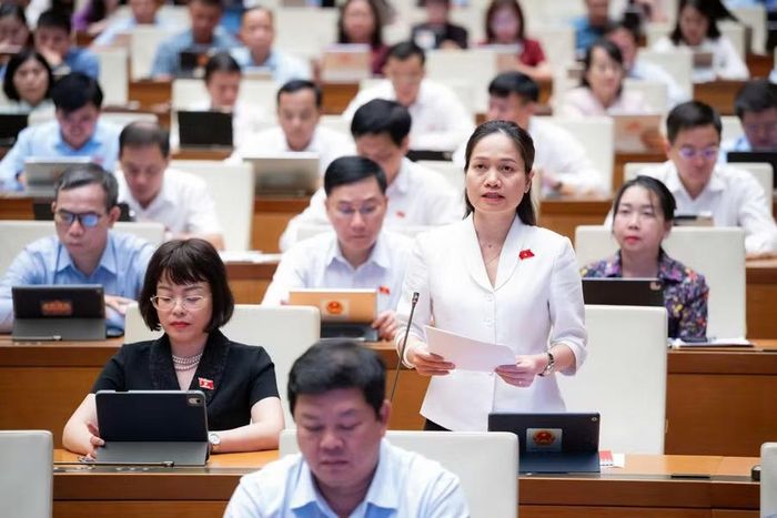 ĐB Siu Hương cho rằng, phân bổ nguồn lực phải phản ánh đúng đặc thù vùng khó khăn. Ảnh: Đoàn ĐBQH tỉnh Gia Lai
