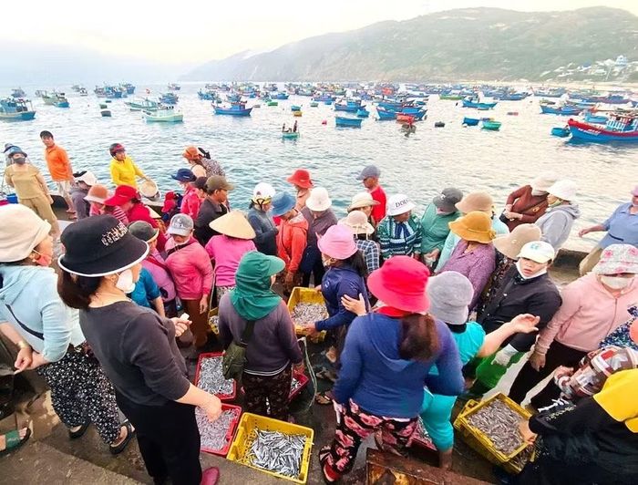 Việc bổ sung các cảng cá, điểm lên cá tạm thời nhằm tạo điều kiện thuận lợi cho hoạt động xác nhận nguồn gốc thủy sản, phục vụ công tác chống khai thác IUU. Ảnh: PHAN TUẤN