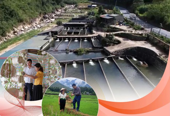 Các hoạt động khuyến nông ngày càng gắn với thực tiễn, góp phần nâng cao hiệu quả sản xuất và từng bước thay đổi tư duy của nông dân.
