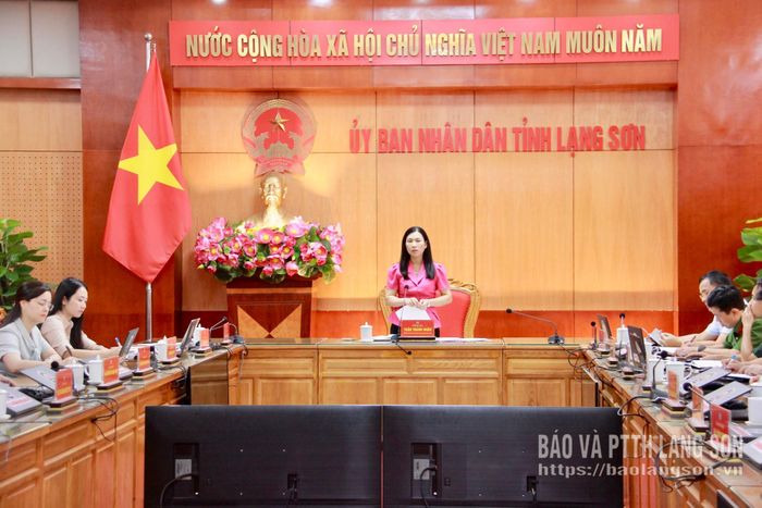 Đồng chí Trần Thanh Nhàn, Phó Chủ tịch UBND tỉnh phát biểu chỉ đạo tại cuộc họp