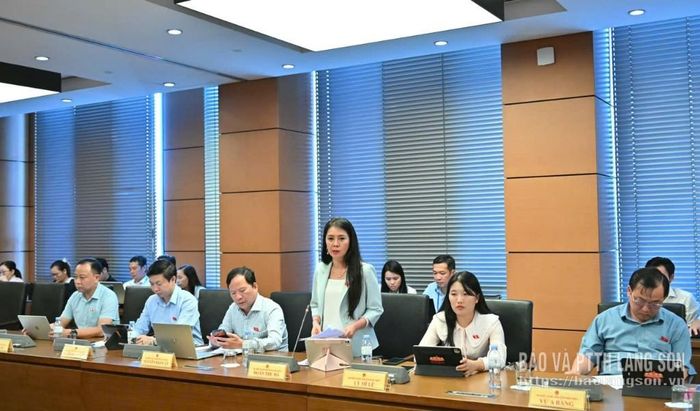 Đại biểu Đoàn Thu Hà, Phó Bí thư Tỉnh ủy, Trưởng Đoàn ĐBQH tỉnh phát biểu thảo luận ở tổ