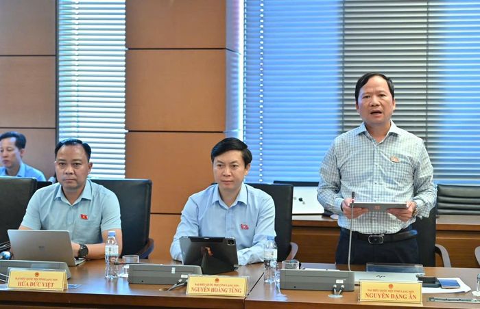 Đại biểu Nguyễn Đặng Ân, Phó Trưởng Đoàn ĐBQH tỉnh phát biểu thảo luận ở tổ