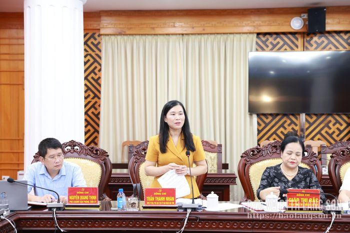 Đồng chí Trần Thanh Nhàn, Phó Chủ tịch UBND tỉnh phát biểu tại buổi làm việc