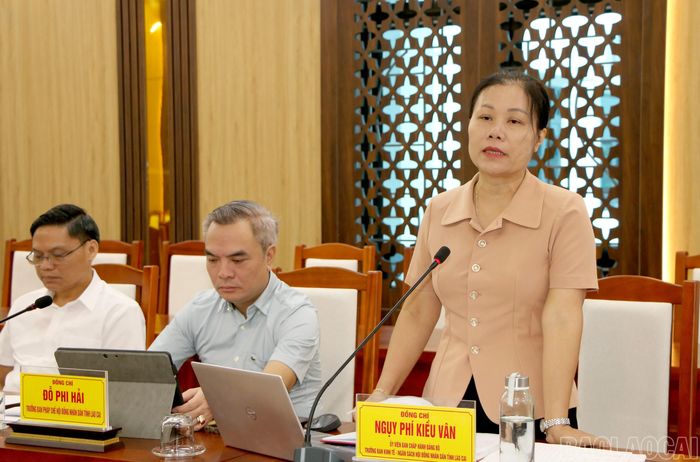 Các thành viên đoàn giám sát phát biểu tại buổi làm việc.