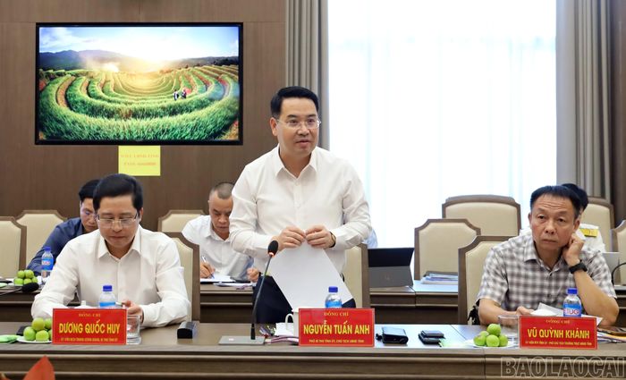 Chủ tịch UBND tỉnh Nguyễn Tuấn Anh phát biểu định hướng buổi làm việc.