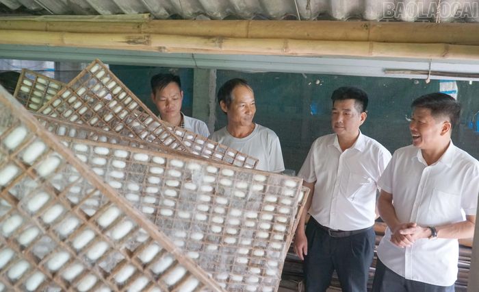 Lãnh đạo xã Châu Quế và Chi bộ thôn Sài Lương nắm bắt tình hình người dân phát triển kinh tế từ trồng dâu, nuôi tằm.