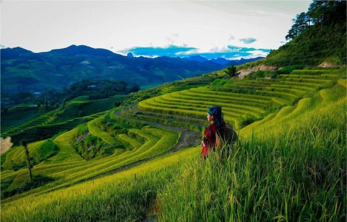 Lưu luyến chờ phiên chợ sau...
