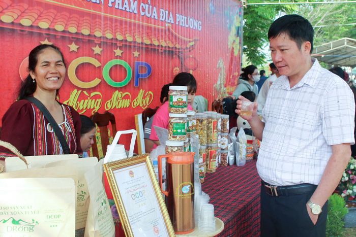 Sản phẩm Chè dây xoăn tuyết Ka Drờng đạt chứng nhận OCOP hạng 3 sao từ núi rừng Cát Tiên