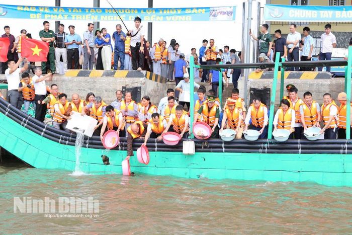 Lễ phóng sinh, tái tạo nguồn lợi thủy sản năm 2026 tại khu vực Cảng cá Ninh Cơ (xã Hải Thịnh). Ảnh: Minh Huệ