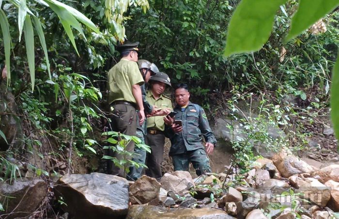 Tổ bảo vệ rừng thôn Gia Giã sử dụng điện thoại thông minh để trao đổi thông tin, xác định vị trí trong quá trình tuần tra rừng - Ảnh: N.B
