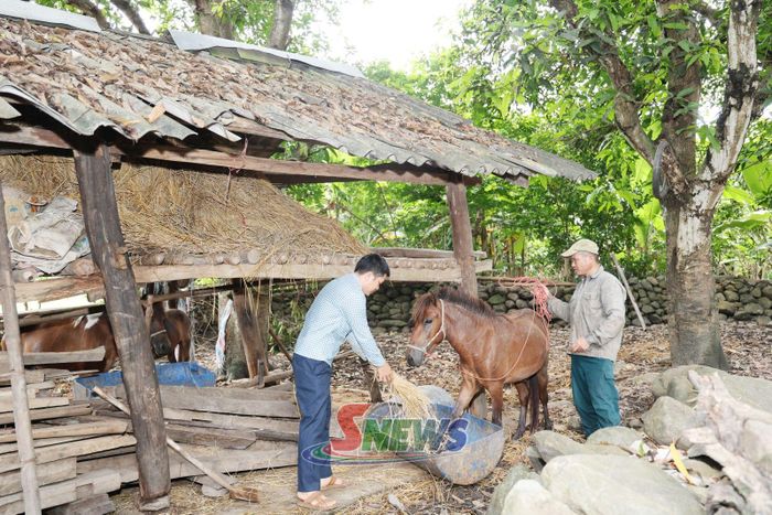 Cán bộ thú y xã Pắc Ngà hướng dẫn người dân bổ sung thức ăn cho đàn vật nuôi.