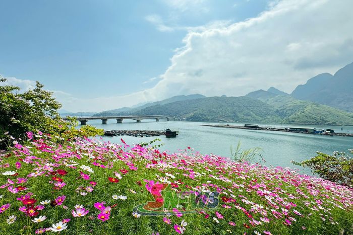 Bình yên lòng hồ xã Quỳnh Nhai.