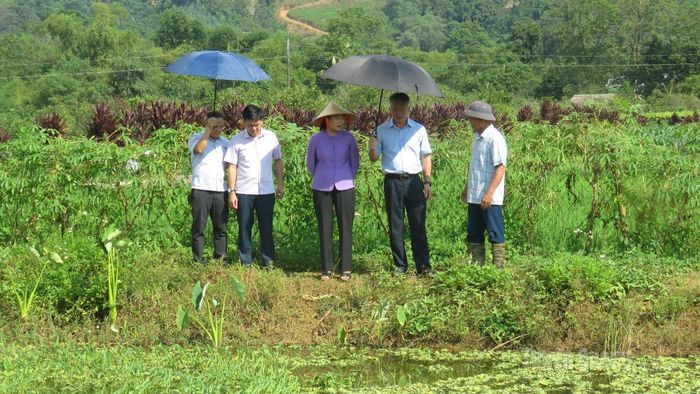 Đồng chí Phó Bí thư Thường trực chuyên trách Đảng ủy UBND tỉnh thăm mô hình nuôi ốc nhồi tại thôn Vĩnh Phúc, xã Đồng Yên.