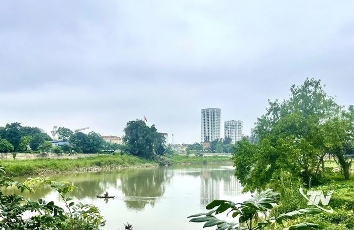 Cây xanh ven bờ sông Cầu tạo một nét đẹp bình yên cho Thái Nguyên