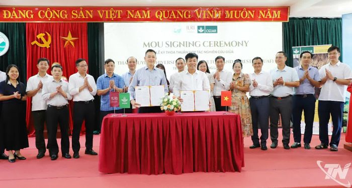 Trường Đại học Nông lâm Thái Nguyên và Viện Nghiên cứu Chăn nuôi Quốc tế ký biên bản ghi nhớ hợp tác.