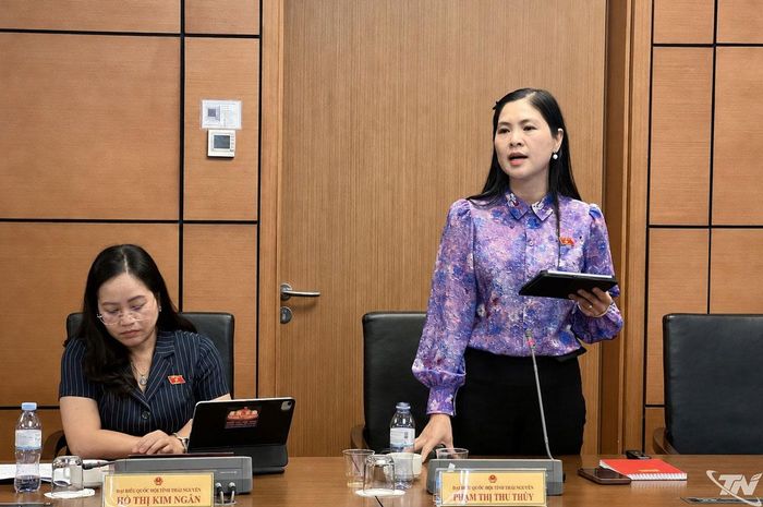 Đại biểu Phạm Thị Thu Thủy (Đoàn ĐBQH tỉnh Thái Nguyên) phát biểu thảo luận.
