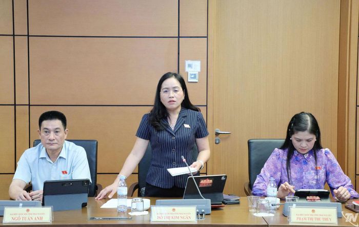 Đại biểu Hồ Thị Kim Ngân (Đoàn ĐBQH tỉnh Thái Nguyên) phát biểu thảo luận.