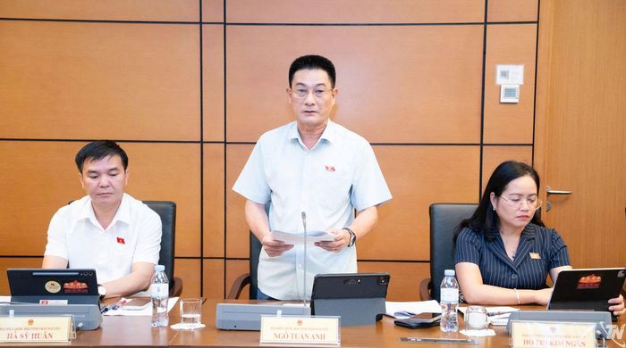 Đại biểu Ngô Tuấn Anh (Đoàn ĐBQH tỉnh Thái Nguyên) phát biểu thảo luận.