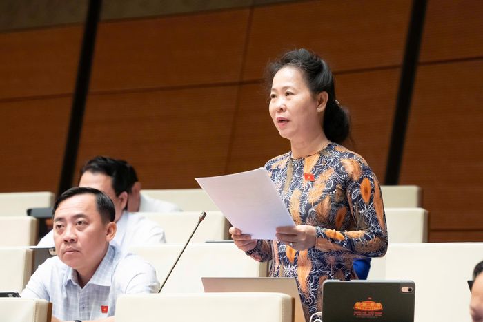 Đại biểu Nguyễn Vũ Trung (đoàn TP.HCM) và đại biểu Tô Ái Vang (đoàn TP Cần Thơ). Ảnh: Media Quốc hội.