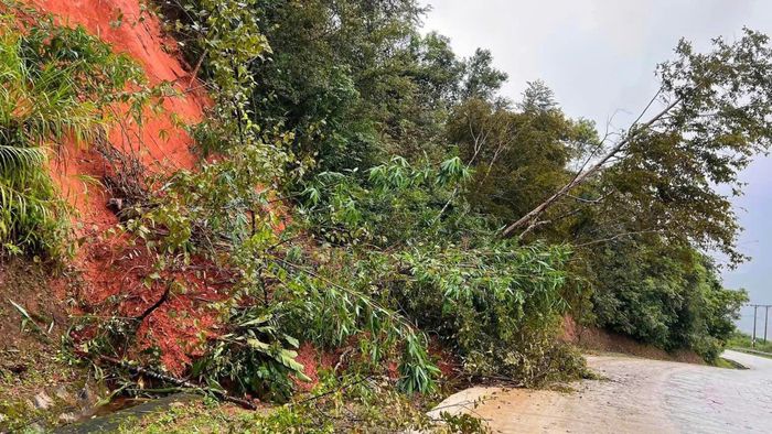 Dọc tuyến, nhiều vị trí cây cối ngã đổ, sạt lở vẫn tiếp diễn dẫn đến nguy cơ mất an toàn giao thông.