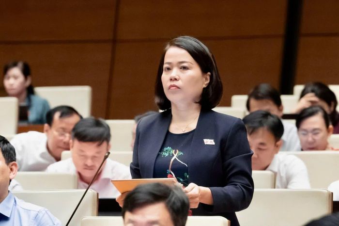 Đại biểu Lý Thị Lan phát biểu. Ảnh: Quochoi.vn