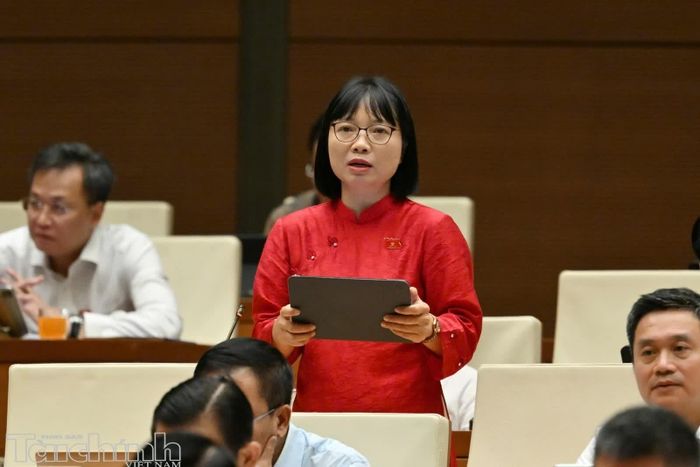 Đại biểu Nguyễn Thị Việt Nga phát biểu. Ảnh: Đức Thanh