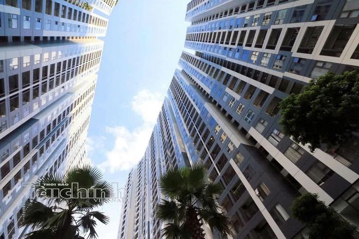Chung cư vẫn là một trong số ít loại hình duy trì được lượng giao dịch nhất định và mức độ quan tâm khá ổn định. Ảnh: Đức Thanh