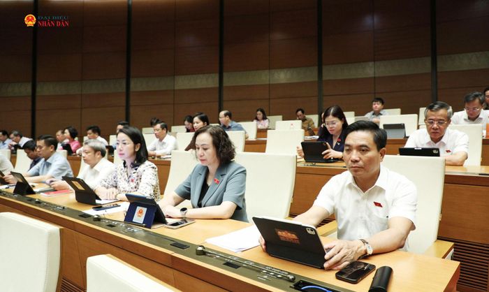Phó Chủ tịch Quốc hội, Thượng tướng Nguyễn Doãn Anh và các đại biểu tham dự phiên họp. Ảnh: Khánh Duy