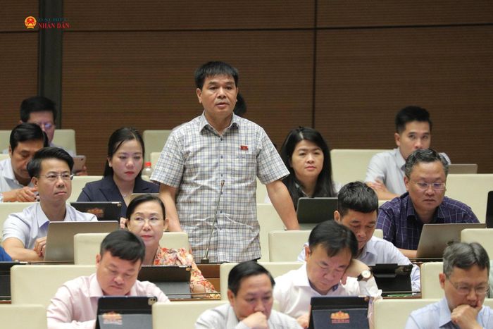 ĐBQH Nguyễn Hữu Toàn (Lai Châu) phát biểu. Ảnh: Hồ Long
