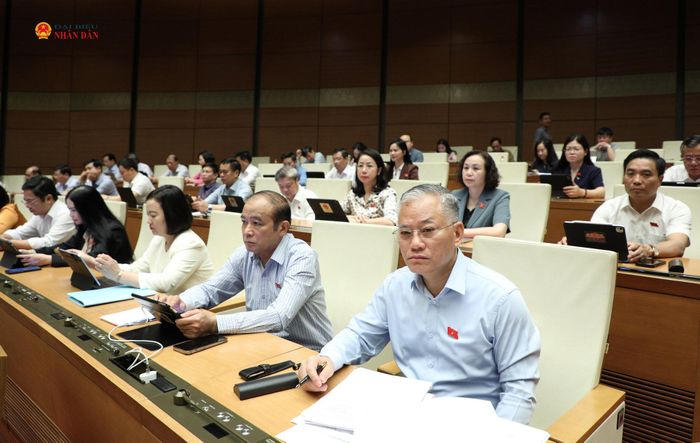 Các đại biểu tham dự phiên họp. Ảnh: Khánh Duy