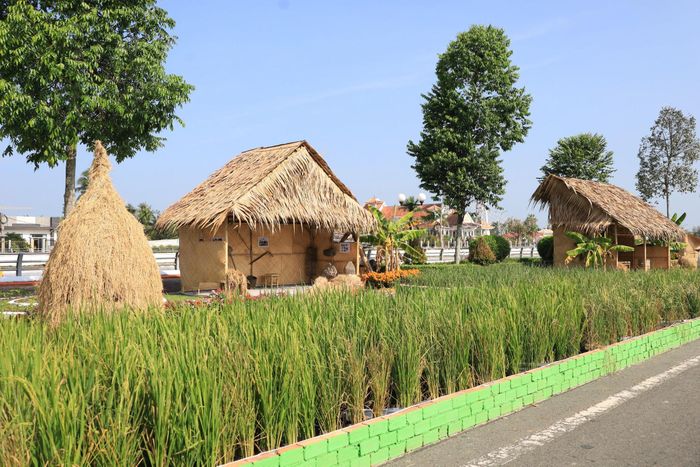 Tại Festival Quốc tế Ngành hàng Lúa gạo Việt Nam lần thứ II - Cần Thơ năm 2026, Ban tổ chức sẽ tái hiện tái hiện “Con đường lúa gạo từ quá khứ đến tương lai”. Ảnh: Phạm Trung