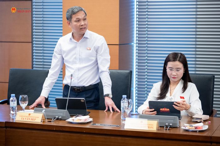ĐBQH Tạ Văn Đẹp (TP. Hồ Chí Minh) phát biểu thảo luận tại tổ