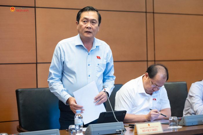 ĐBQH Hồ Việt Triều (Cà Mau) phát biểu thảo luận tại tổ