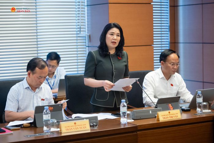 ĐBQH Trần Thị Vân (Bắc Ninh) phát biểu thảo luận tại tổ
