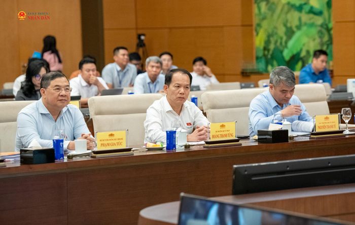 Các đại biểu tham dự phiên họp