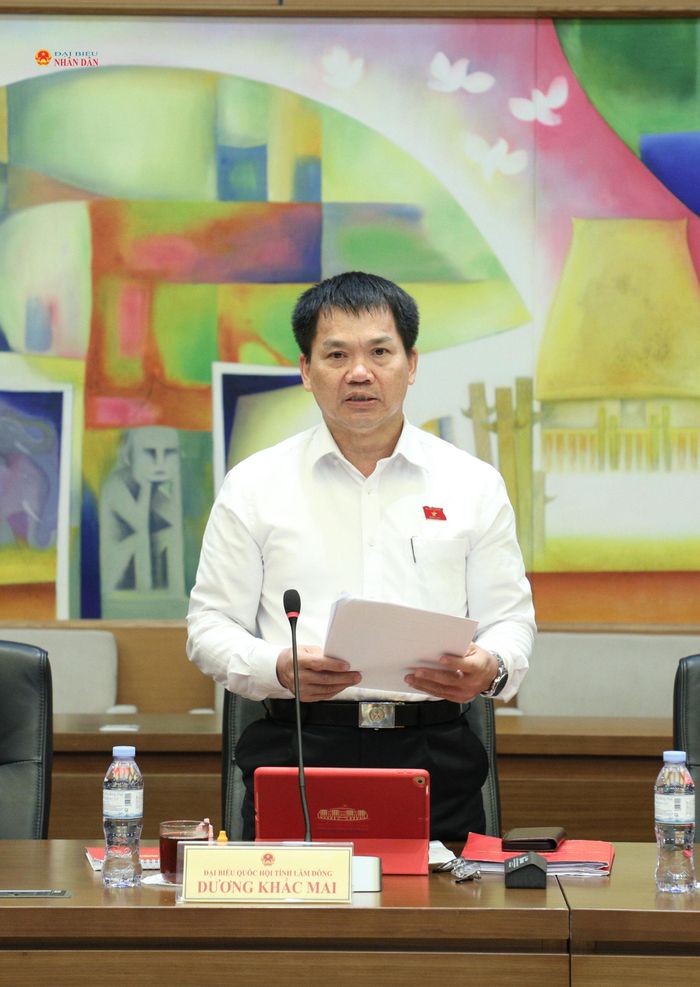 ĐBQH Dương Khắc Mai (Lâm Đồng) phát biểu thảo luận tại tổ