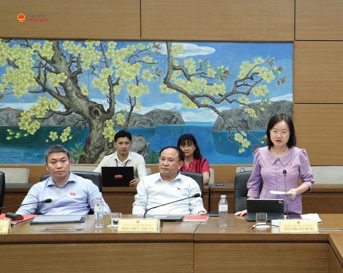 ĐBQH Thái Thị An Chung (Nghệ An) phát biểu thảo luận tại tổ