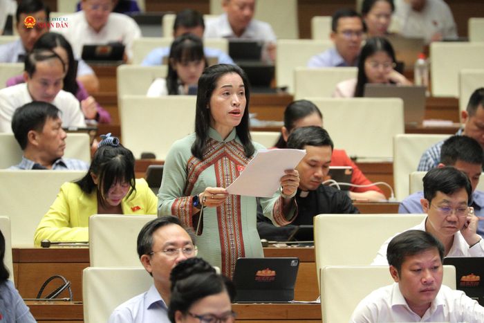 ĐBQH Cil Bri (Lâm Đồng) phát biểu. Ảnh: Hồ Long