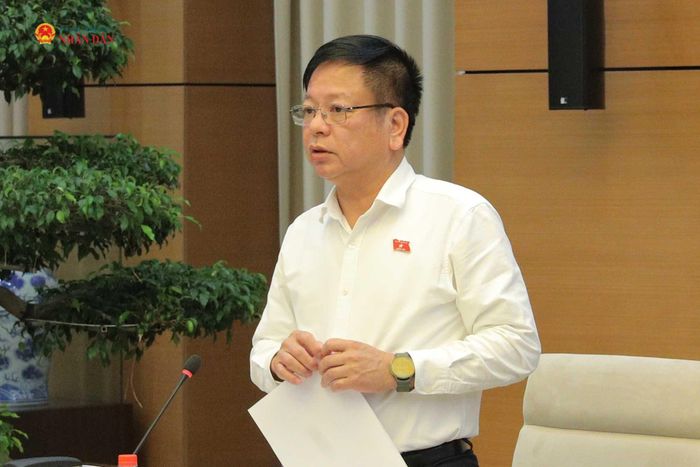 Phó Chủ nhiệm Ủy ban Pháp luật và Tư pháp Nguyễn Trường Giang phát biểu. Ảnh: Hồ Long