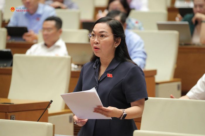 ĐBQH Lý Anh Thư (An Giang) phát biểu