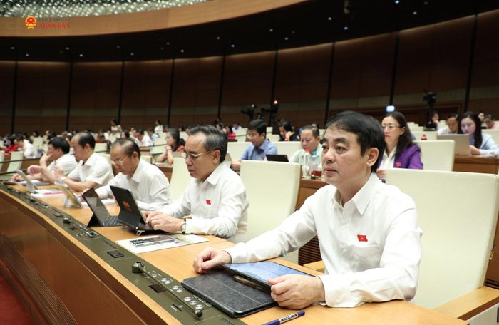 Các đại biểu dự phiên họp