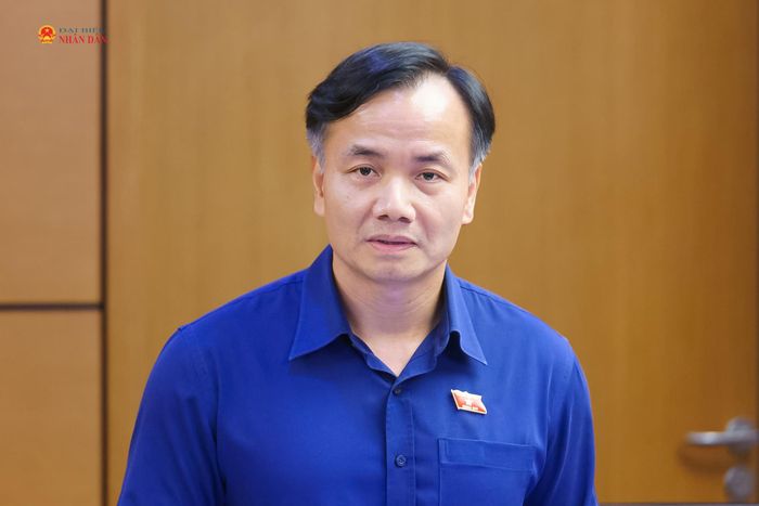 ĐBQH Trần Hoài Nam (Cà Mau) phát biểu thảo luận tại Tổ 8