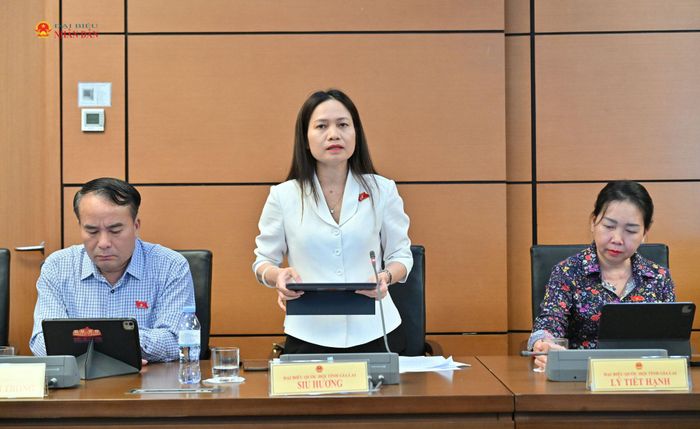ĐBQH Siu Hương (Gia Lai) phát biểu thảo luận tại Tổ 5