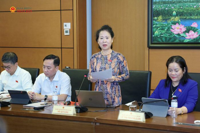 ĐBQH Tô Ái Vang (TP. Cần Thơ) phát biểu thảo luận tại Tổ 9