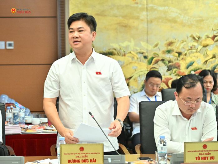 ĐBQH Dương Đức Hải (TP. Hà Nội) phát biểu thảo luận tại Tổ 1